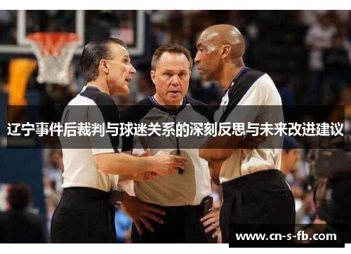 辽宁事件后裁判与球迷关系的深刻反思与未来改进建议