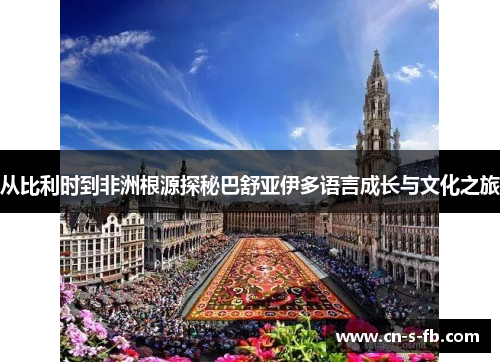 从比利时到非洲根源探秘巴舒亚伊多语言成长与文化之旅