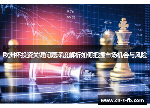 欧洲杯投资关键问题深度解析如何把握市场机会与风险