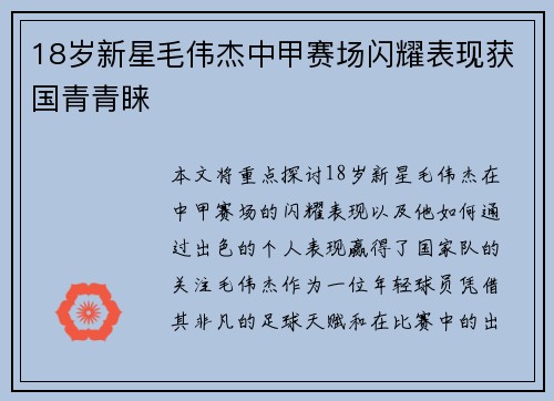 18岁新星毛伟杰中甲赛场闪耀表现获国青青睐