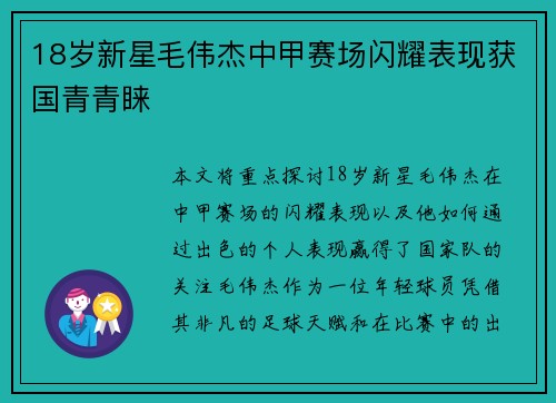 18岁新星毛伟杰中甲赛场闪耀表现获国青青睐