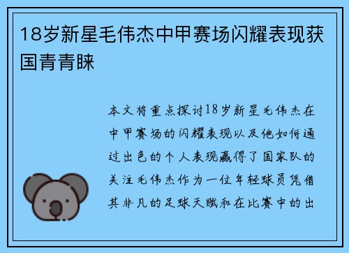 18岁新星毛伟杰中甲赛场闪耀表现获国青青睐